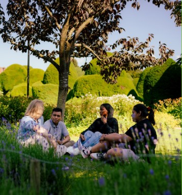 Nature Positive! Four students sits outside under a tree, on a sunny day.