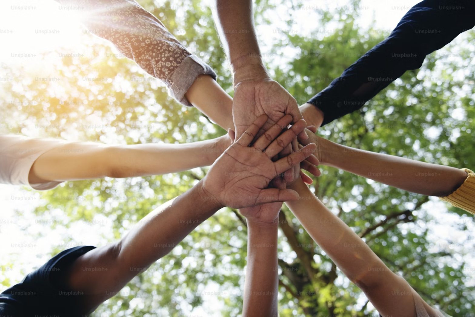 A series of hands reaching out to meet in the centre of a circle, underneath a tree canopy