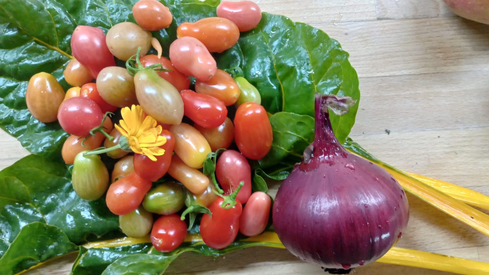 A red onion and a handful of cherry tomatoes sit on some greens.