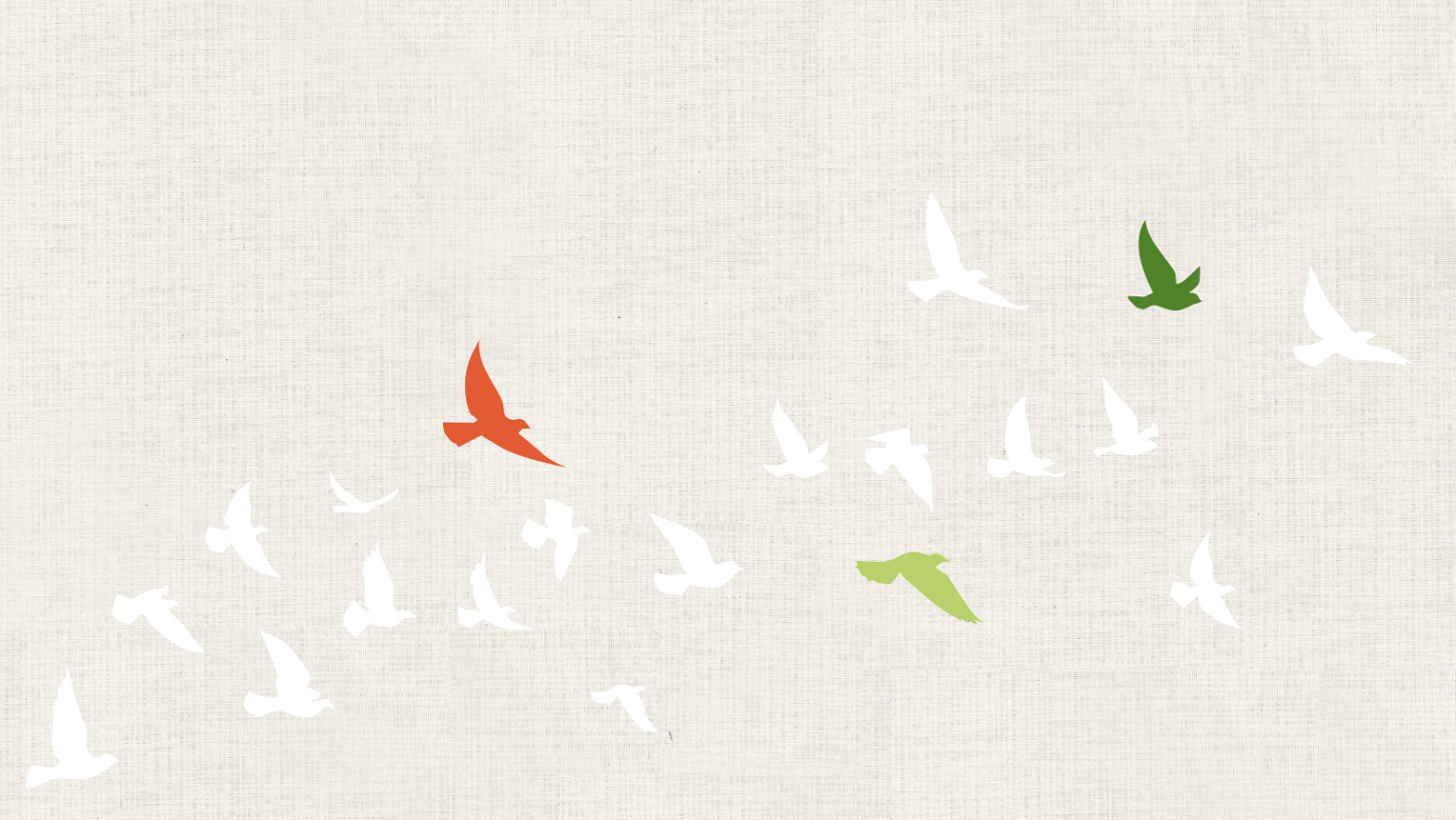 White birds are outlined against a beige background. One red bird and two green birds fly amongst them.