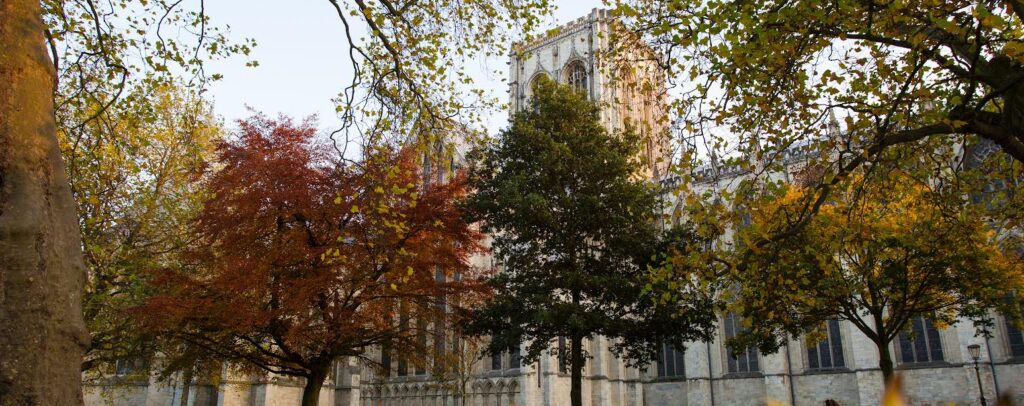 An image of York Minster in autumn, partially obscured by tall trees in the garden directly outside it.