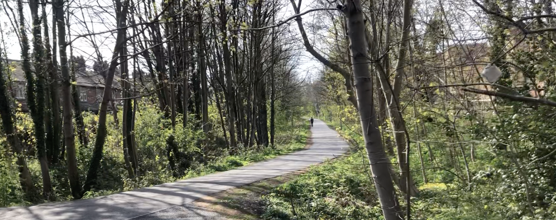 A pathway is winding through some trees.