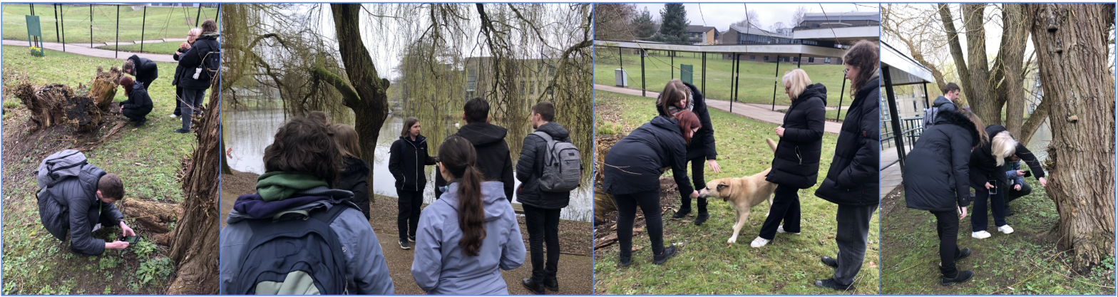 Four side by side pictures. Each picture shows a group of people interacting with nature.