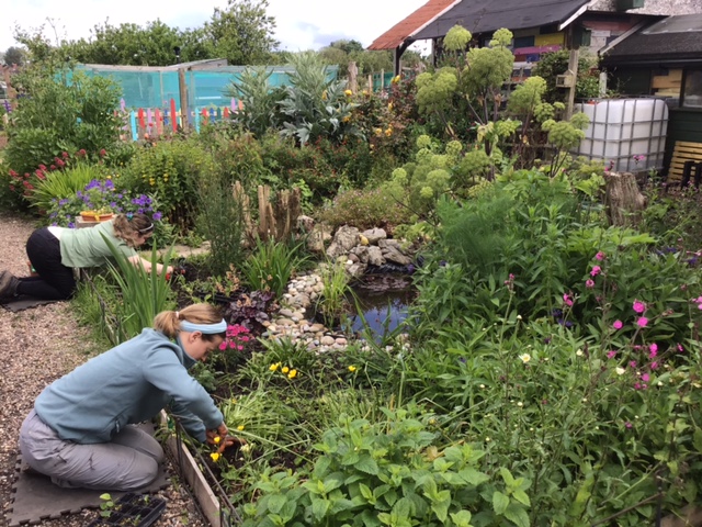 Gardening for Wildlife in Autumn A garden bed full of plants and flowers with two gardeners tending to it.